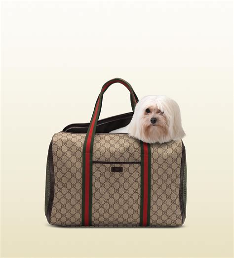 sac chien gucci|gucci dog carrier bag.